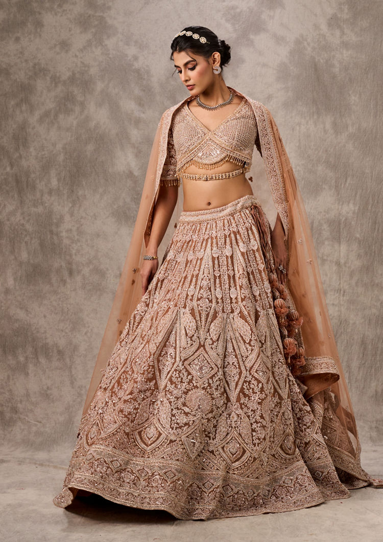 Twamev Women Fawn Net Aari Embroidered Bridal Lehenga