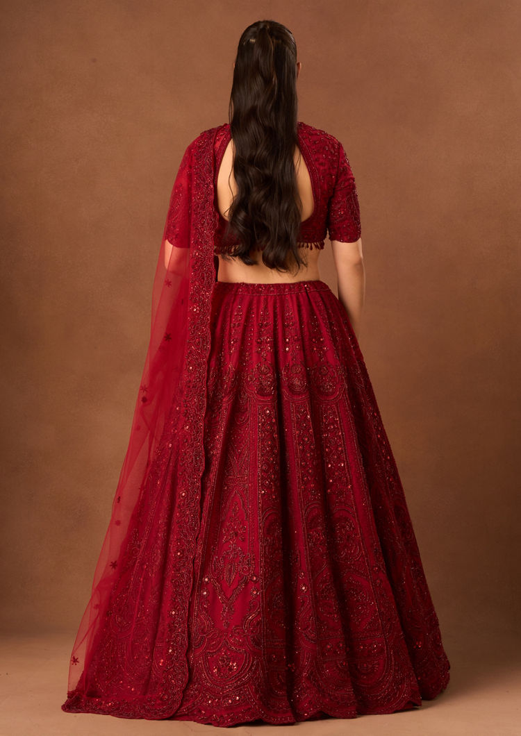 Twamev Women Maroon Organza Lehenga with Embroidery