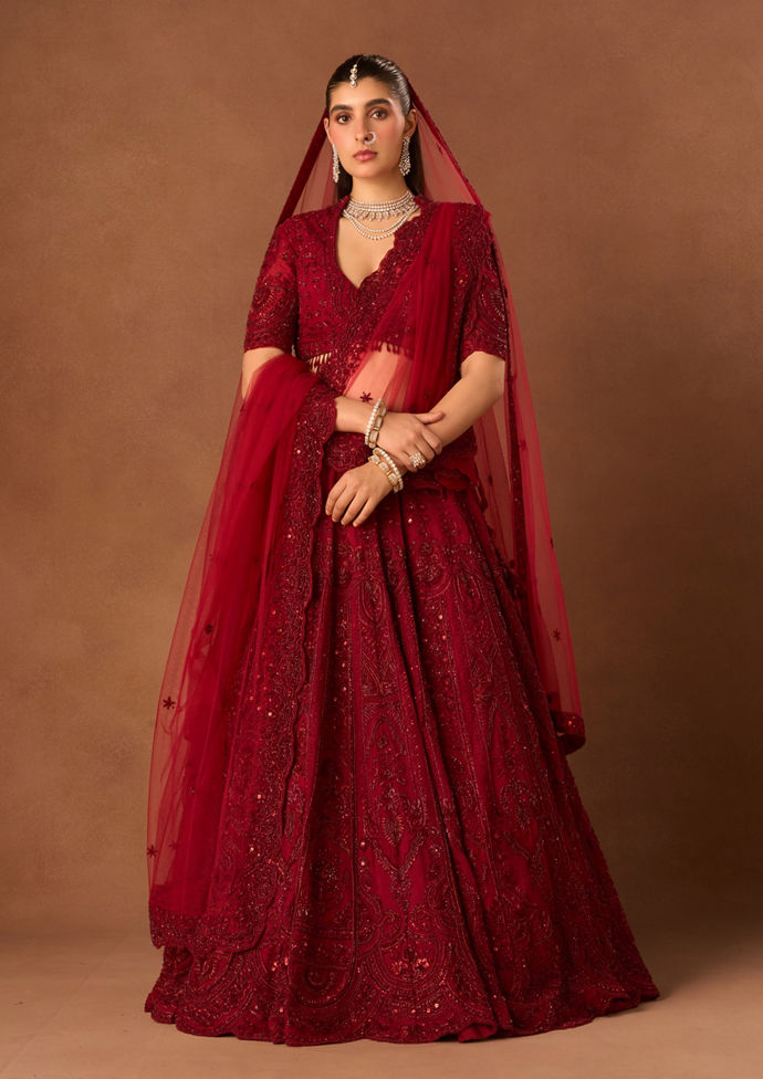 Twamev Women Maroon Organza Lehenga with Embroidery