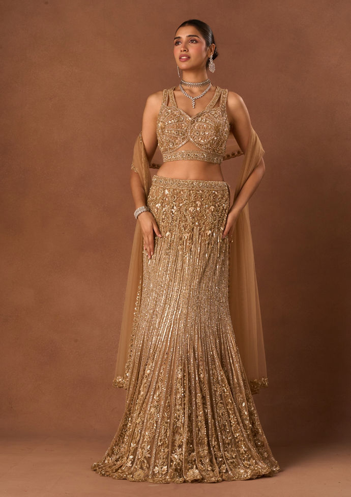 Twamev Women Beige Net Lehenga with Embroidery