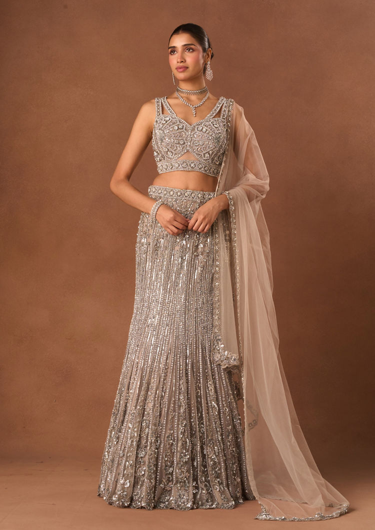Twamev Women Silver Net Lehenga with Embroidery