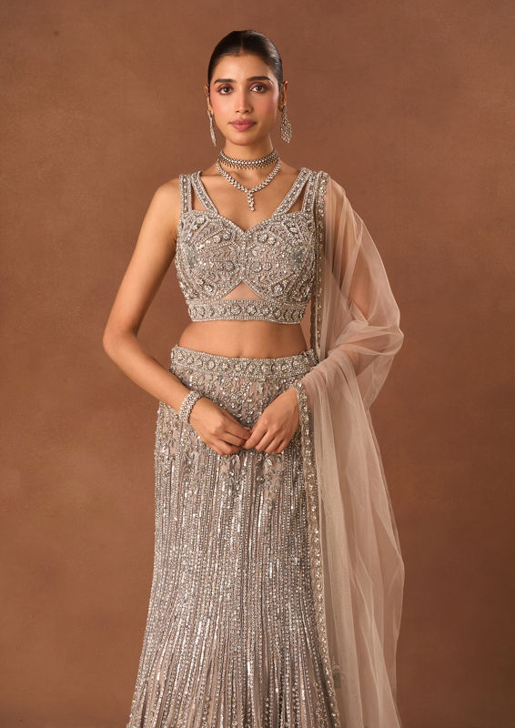 Twamev Women Silver Net Lehenga with Embroidery