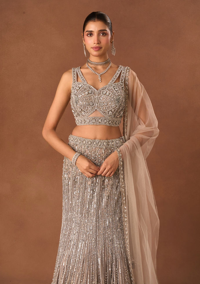 Twamev Women Silver Net Lehenga with Embroidery