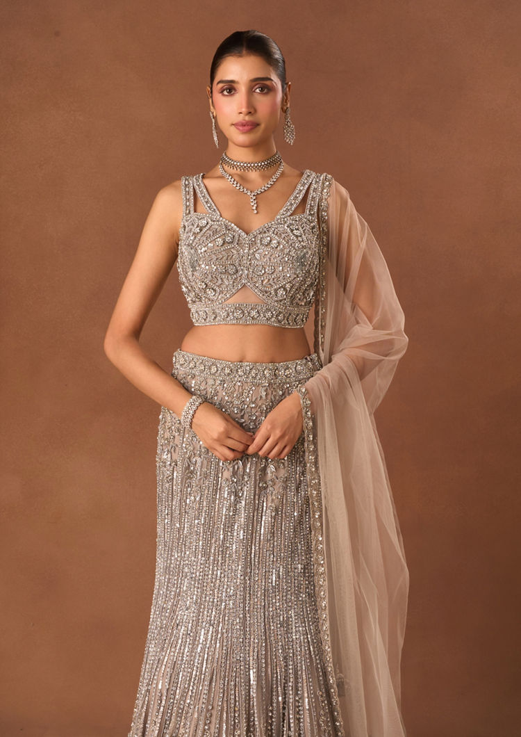 Twamev Women Silver Net Lehenga with Embroidery