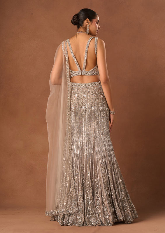 Twamev Women Silver Net Lehenga with Embroidery