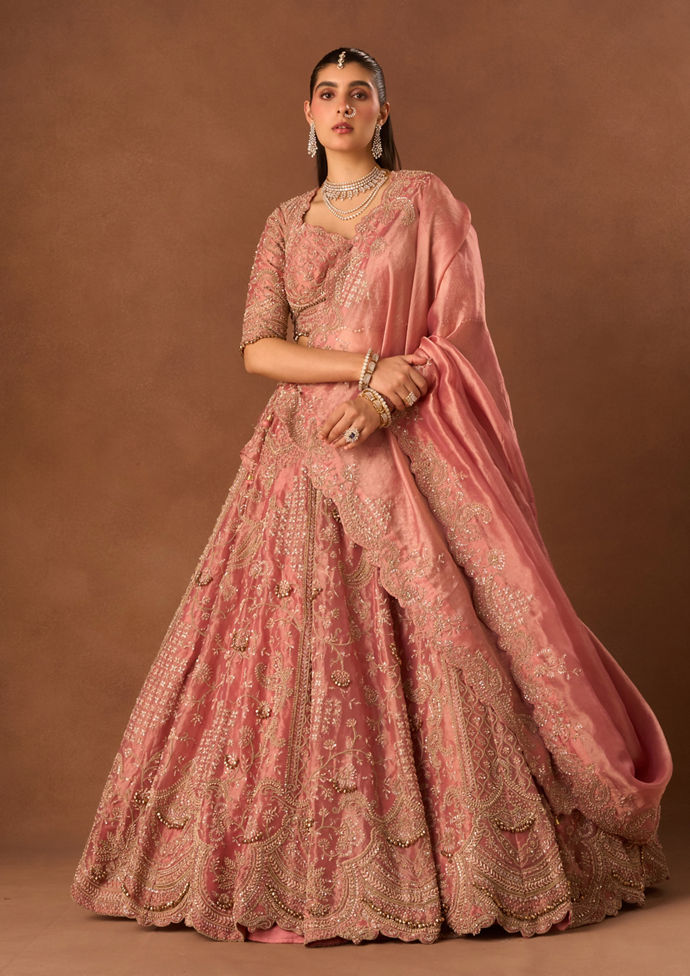 Twamev Women Pink Tissue Lehenga with Embroidery