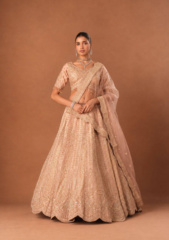 Twamev Women Light Pink Tissue Lehenga with Embroidery