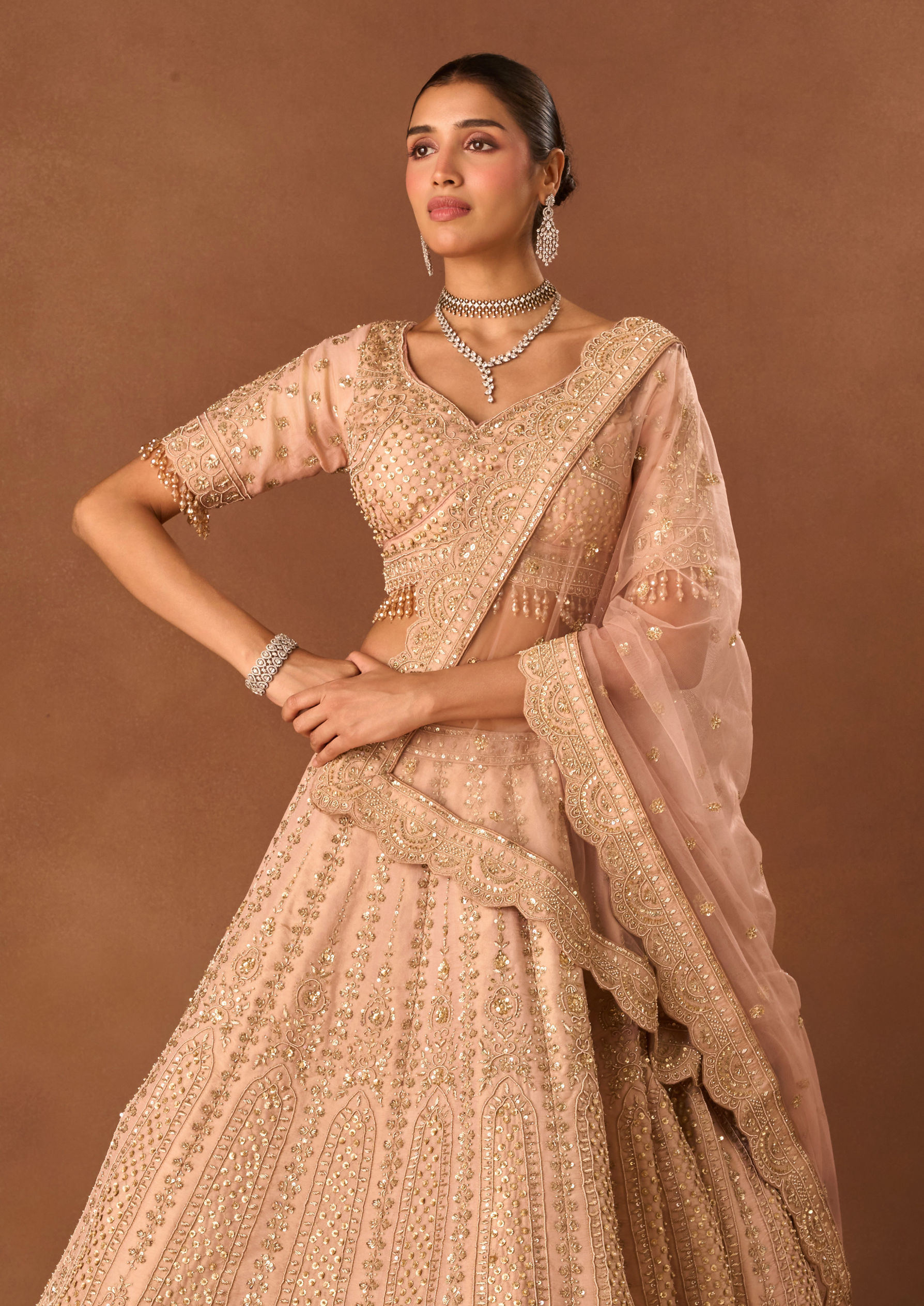 Twamev Women Light Pink Tissue Lehenga with Embroidery