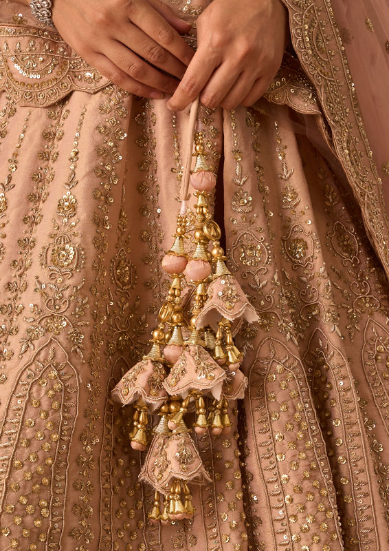 Twamev Women Light Pink Tissue Lehenga with Embroidery