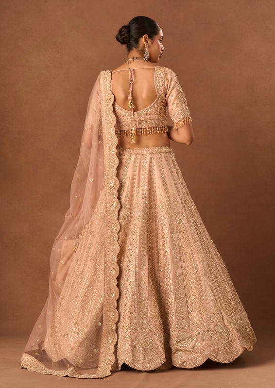 Twamev Women Light Pink Tissue Lehenga with Embroidery