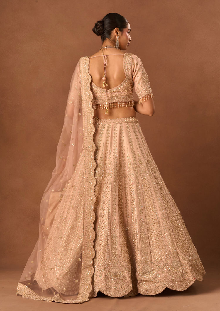 Twamev Women Light Pink Tissue Lehenga with Embroidery