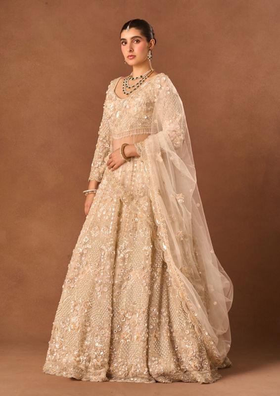 Twamev Women Cream Net Lehenga with Embroidery and Beads