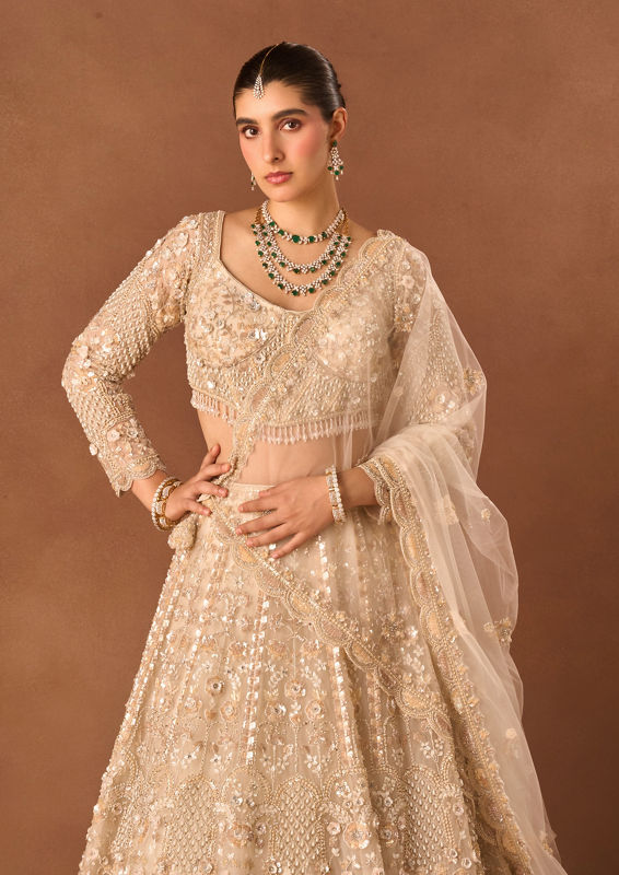 Twamev Women Cream Net Lehenga with Embroidery and Beads
