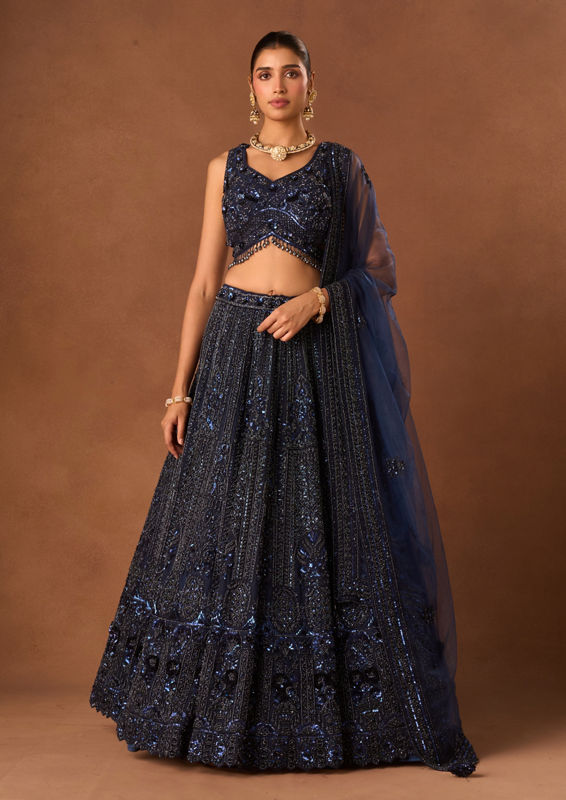 Twamev Women Indigo Blue Net Lehenga with Embroidery
