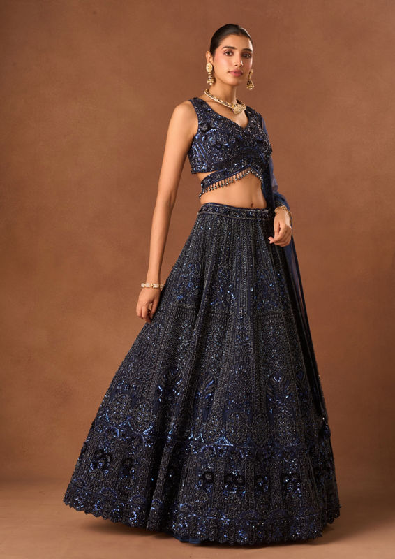 Twamev Women Indigo Blue Net Lehenga with Embroidery