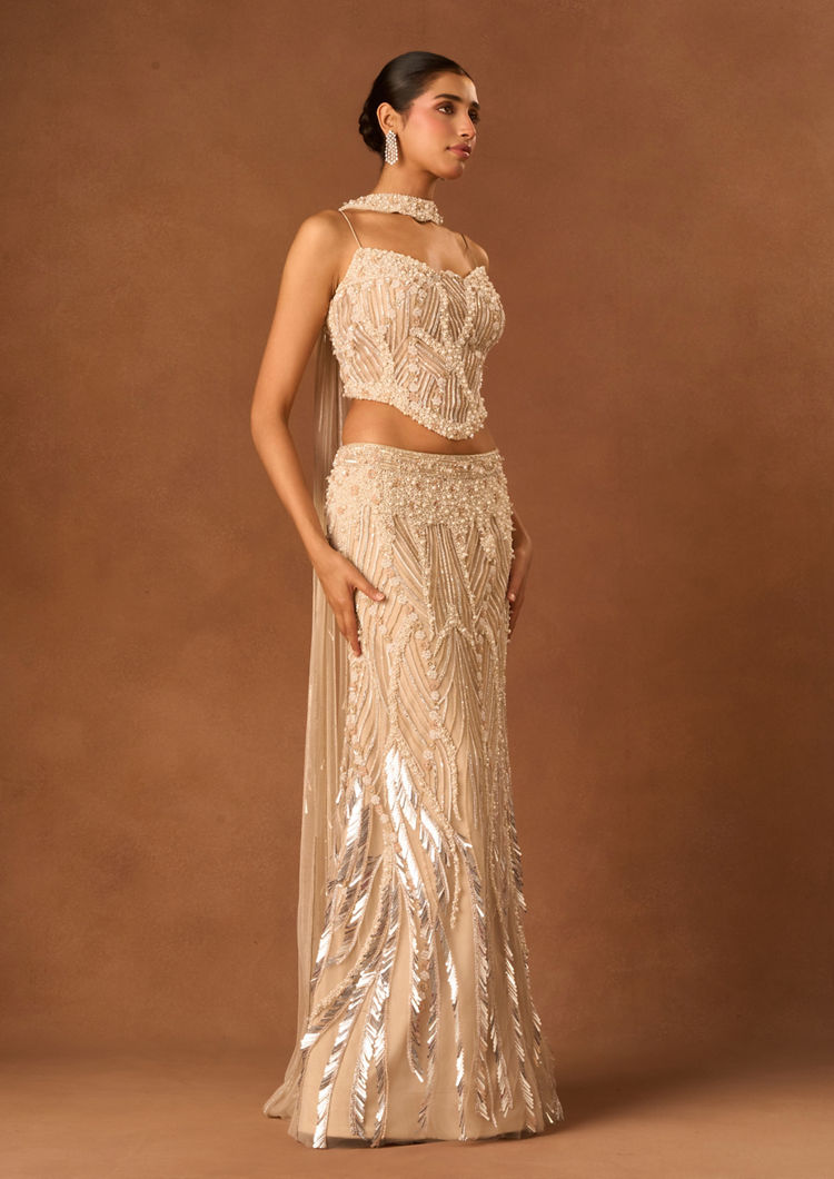Twamev Women Fawn Net Lehenga with Embroidery