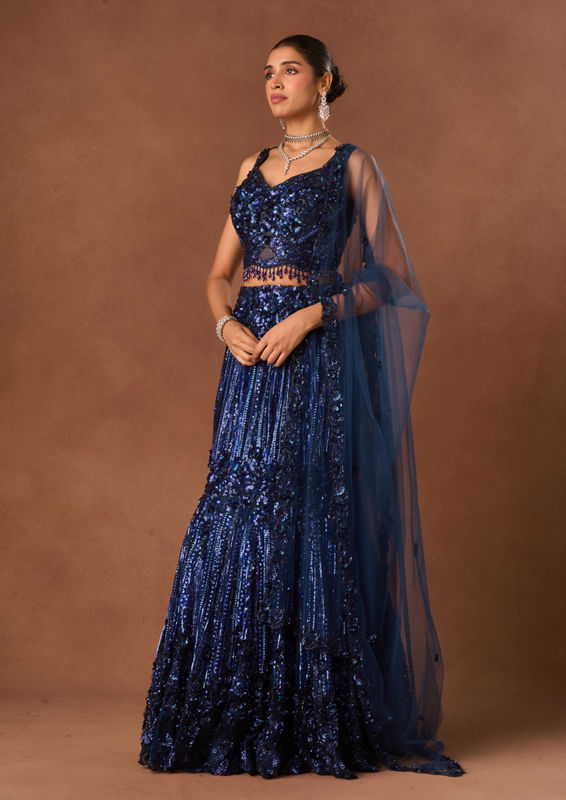 Twamev Women Indigo Blue Net Lehenga with Embroidery