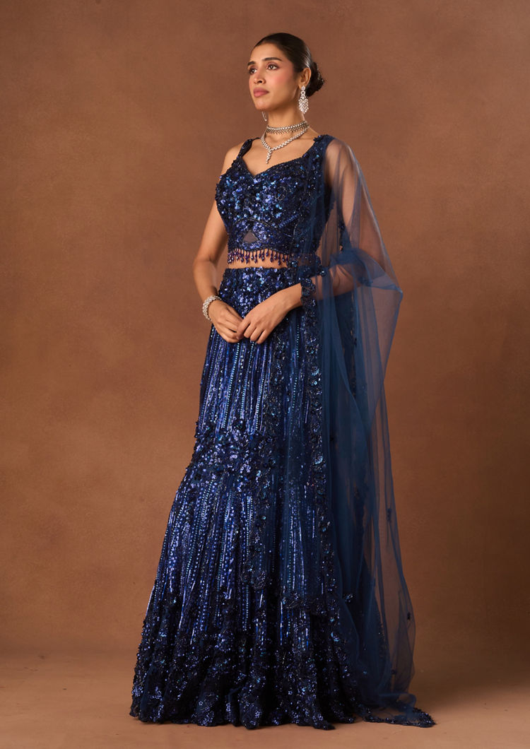 Twamev Women Indigo Blue Net Lehenga with Embroidery