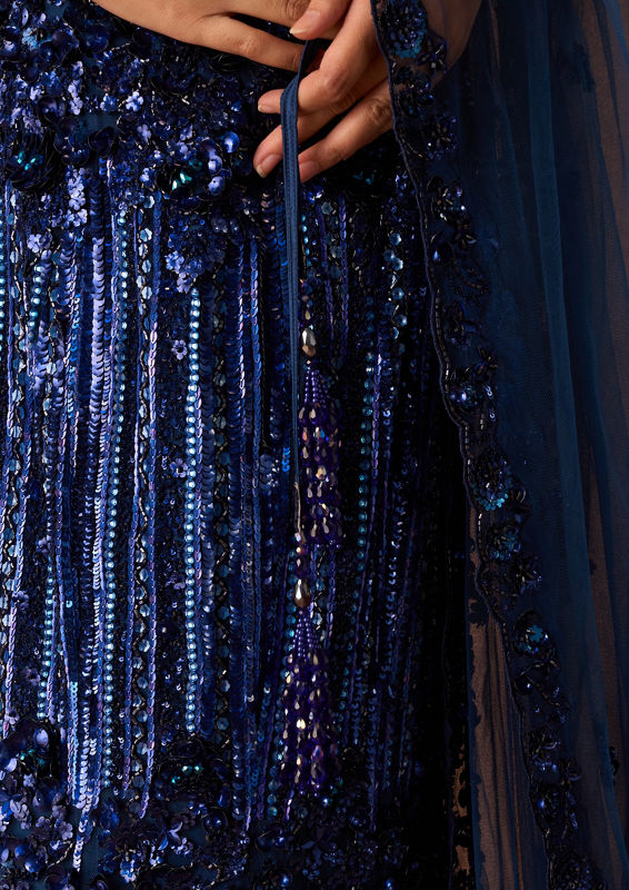 Twamev Women Indigo Blue Net Lehenga with Embroidery