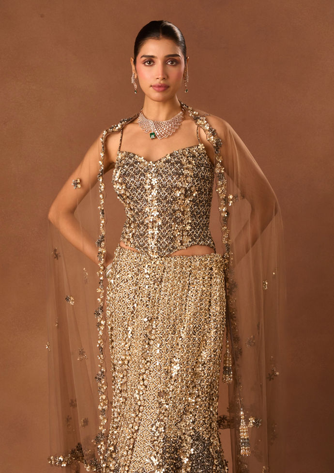 Twamev Women Grey Net Lehenga with Corset and Dupatta