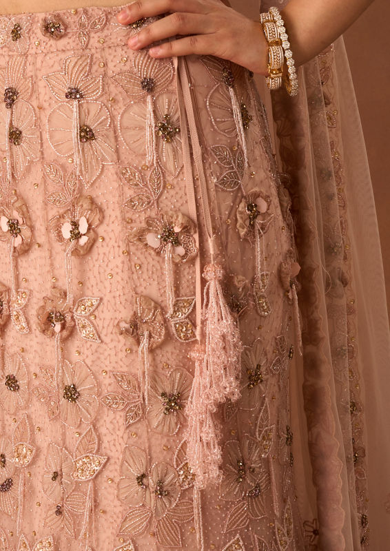 Twamev Women Pink Net Lehenga with Embroidery