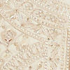 Champagne Splendor Open Sherwani