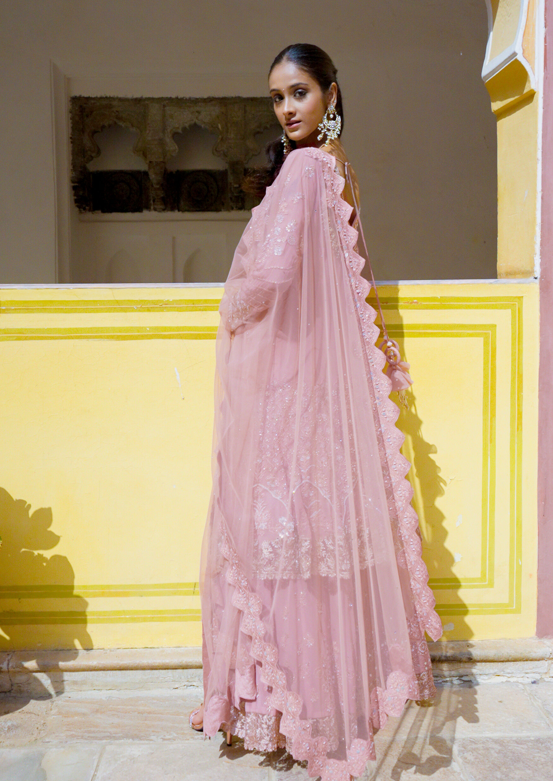 Twamev Women Ornate Pink Georgette Stitched Suit