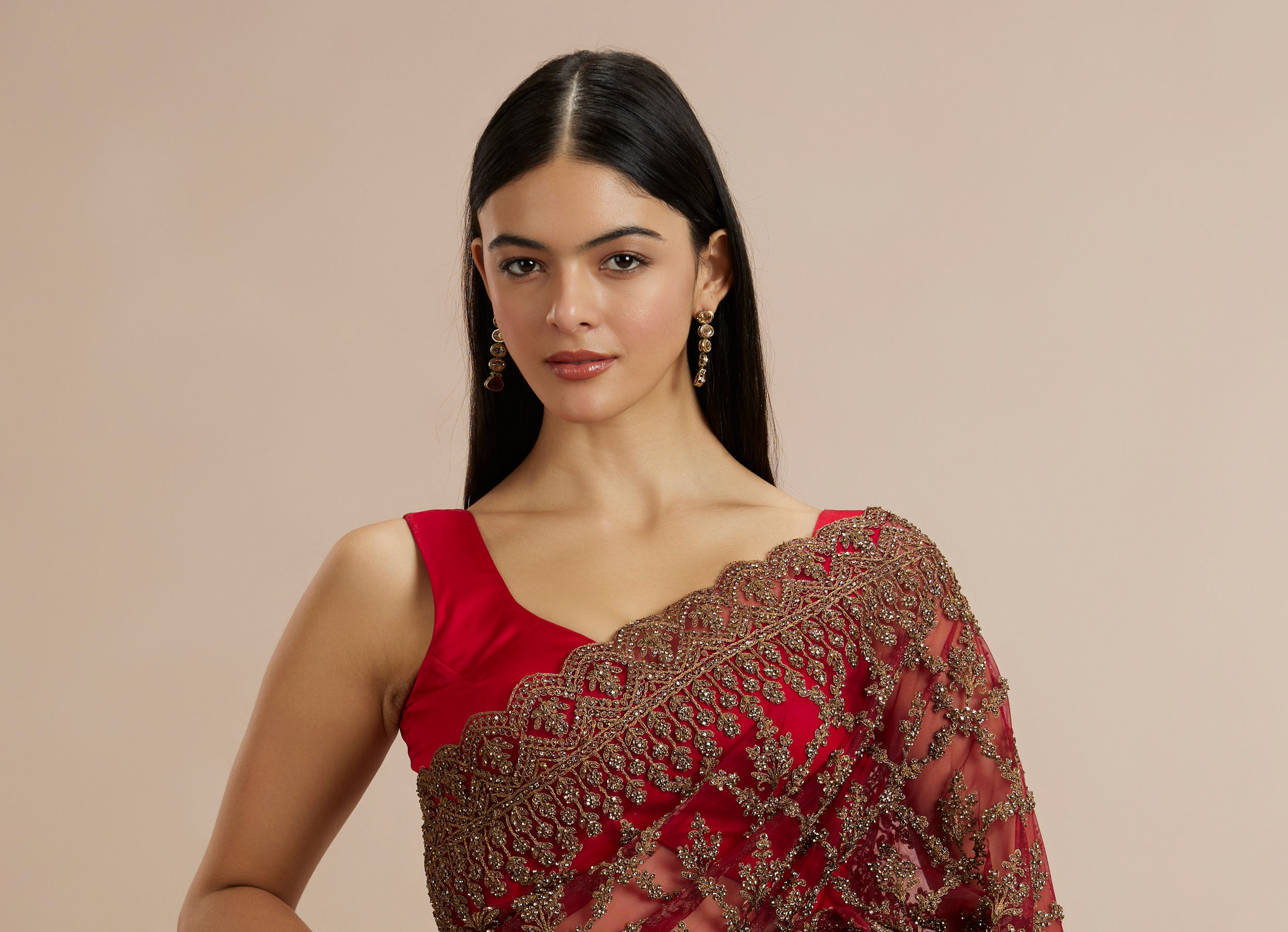Twamev Women Rust Red Net Zardozi Thread Embroidered Saree