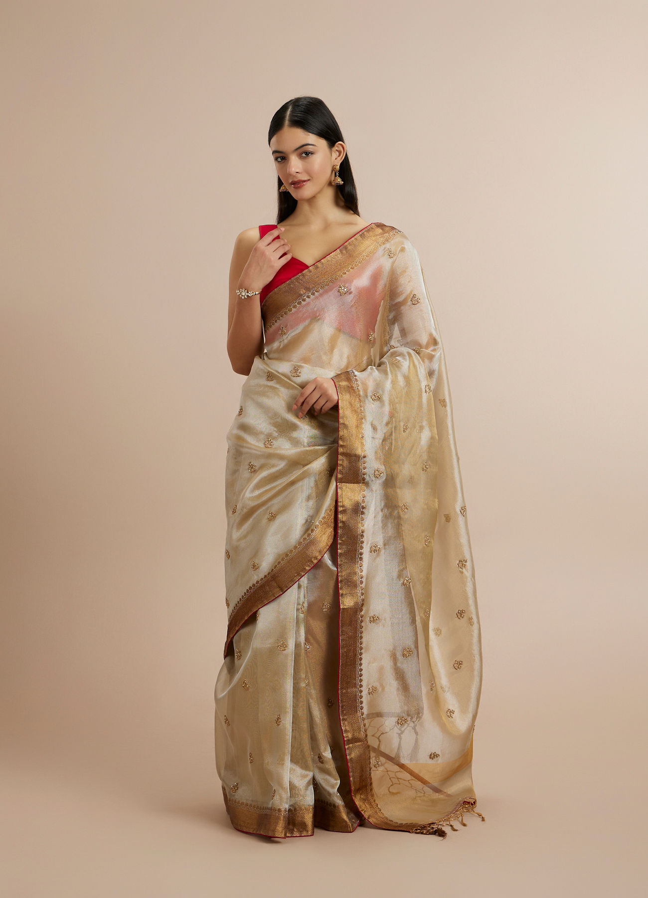 Twamev Women Fawn Organza Gold Zari Border Embroidered Saree