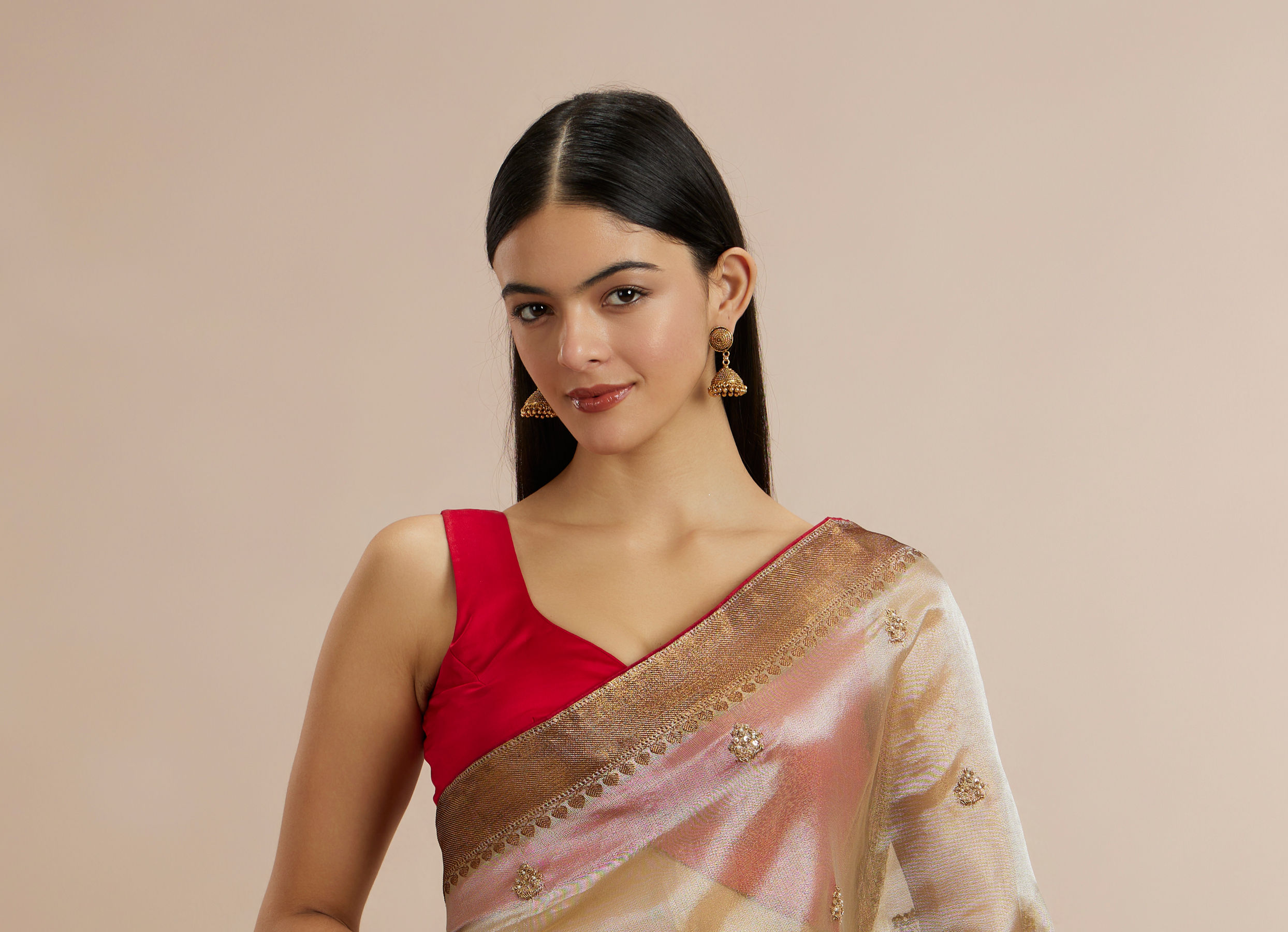 Twamev Women Fawn Organza Gold Zari Border Embroidered Saree