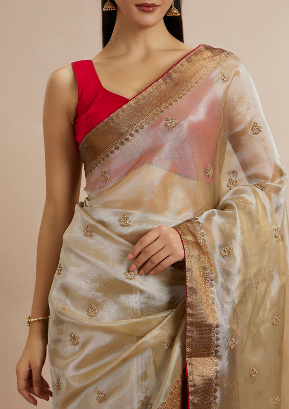 Twamev Women Gleaming Fawn Elegance Saree