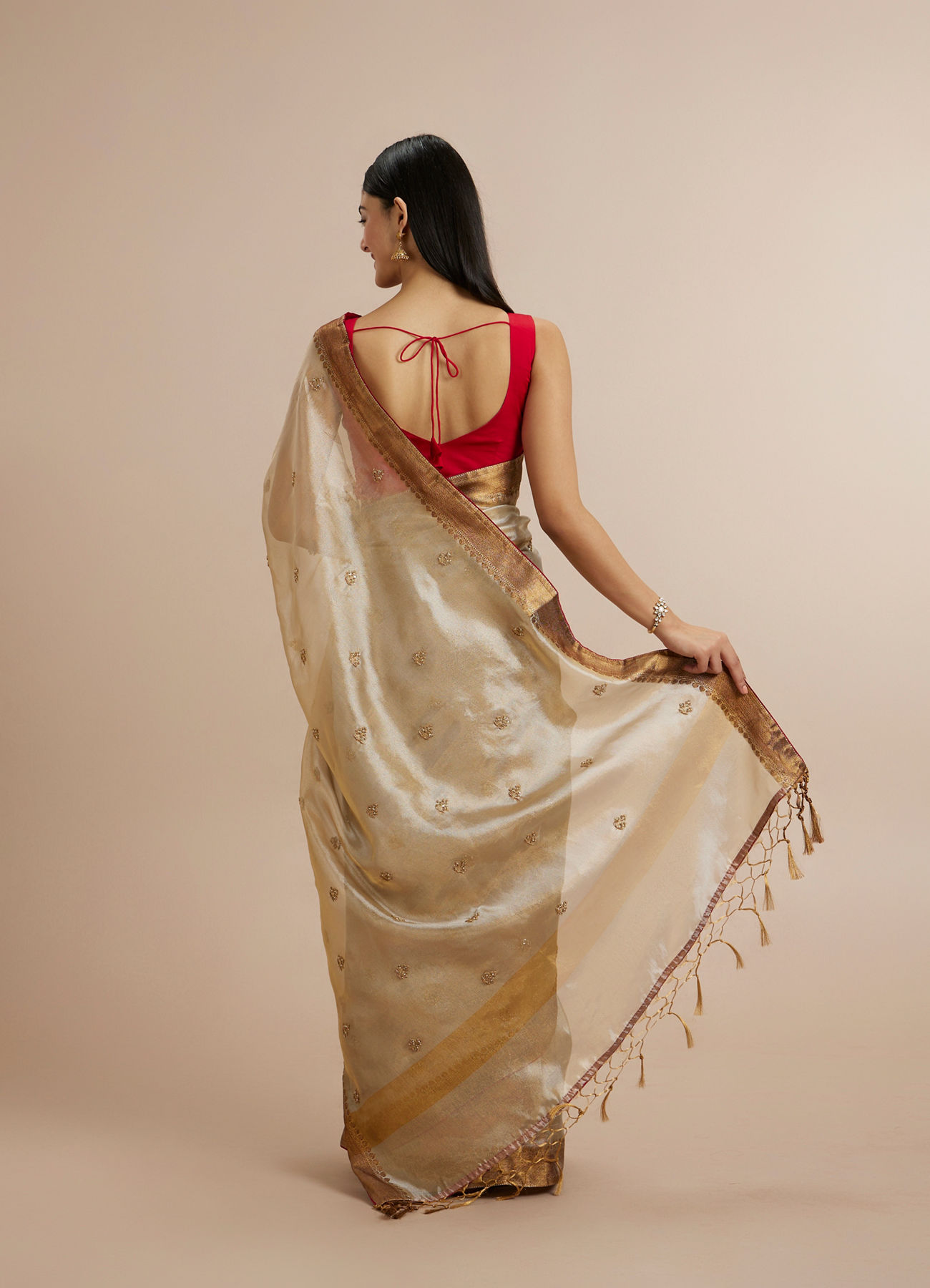 Twamev Women Fawn Organza Gold Zari Border Embroidered Saree