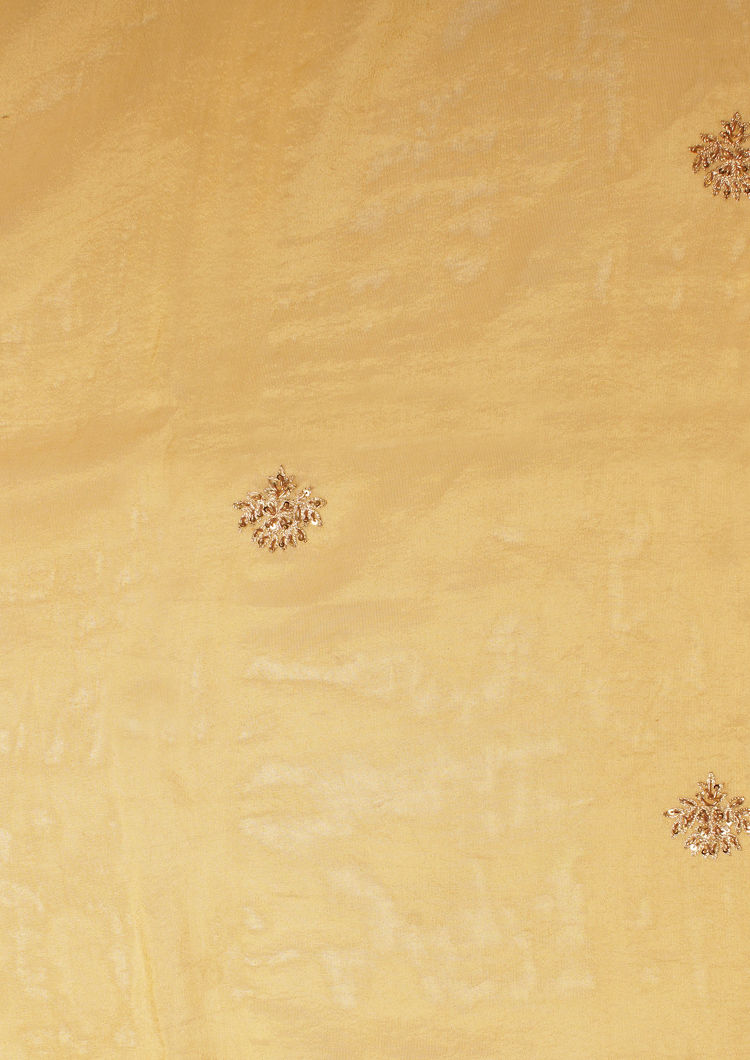 Twamev Women Glistening Gold Tissue Saree image number 5