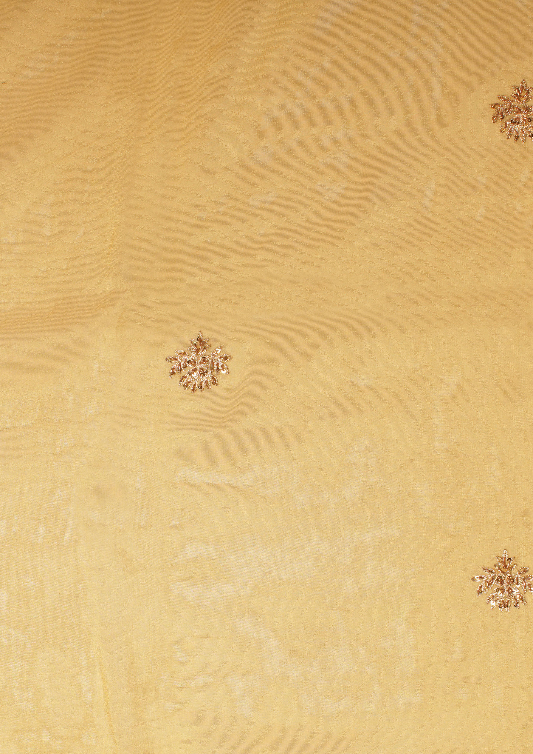 Twamev Women Glistening Gold Tissue Saree image number 5