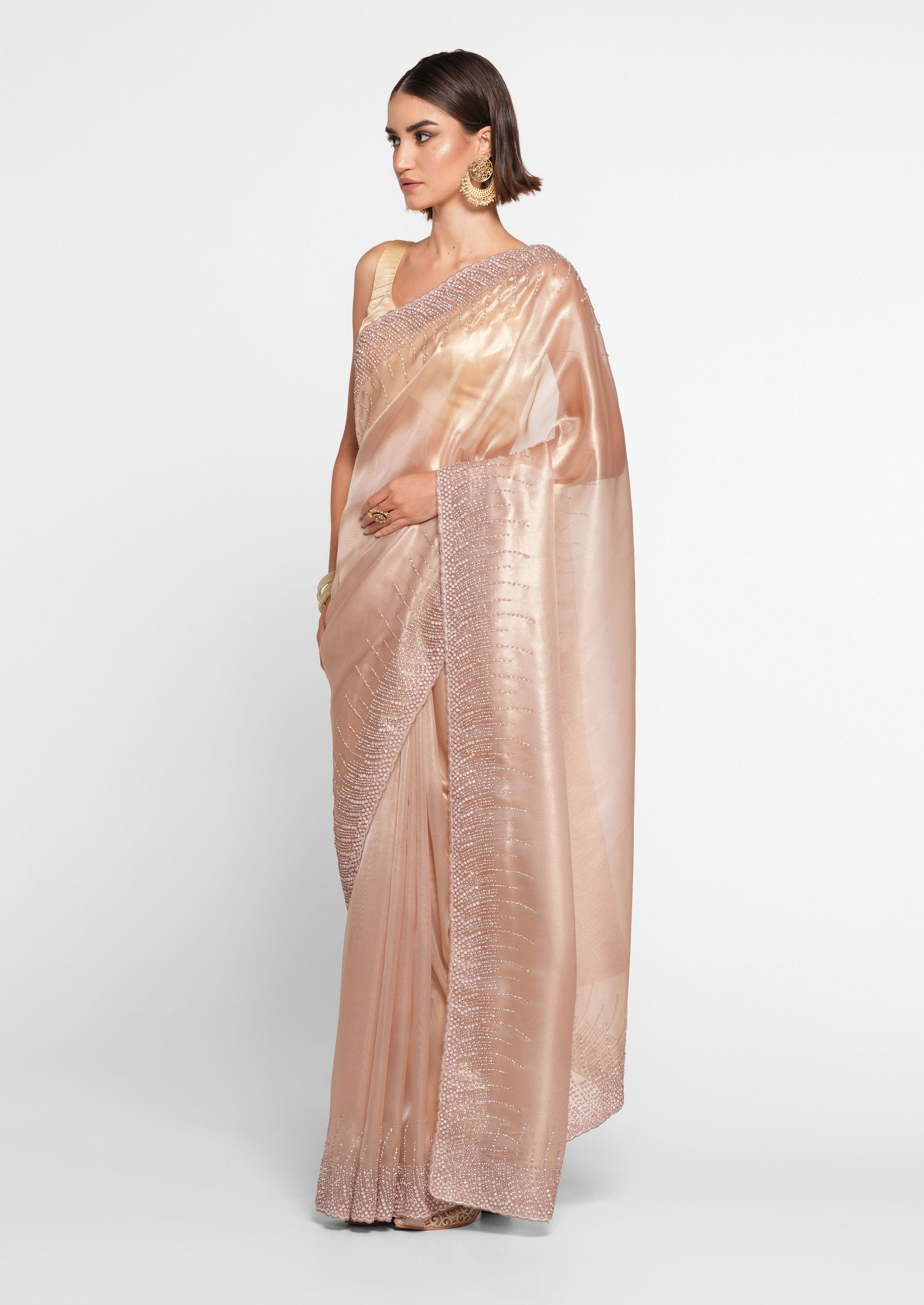 Twamev Women Elegant Fawn Organza Saree