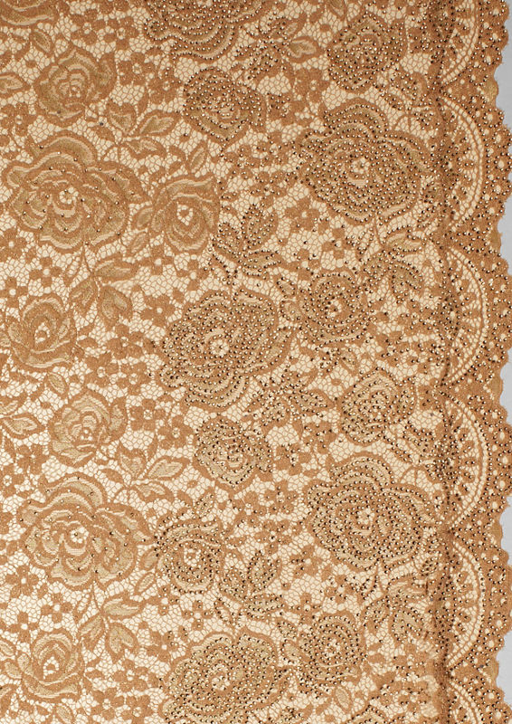 Twamev Women Beige Elegance Net Saree