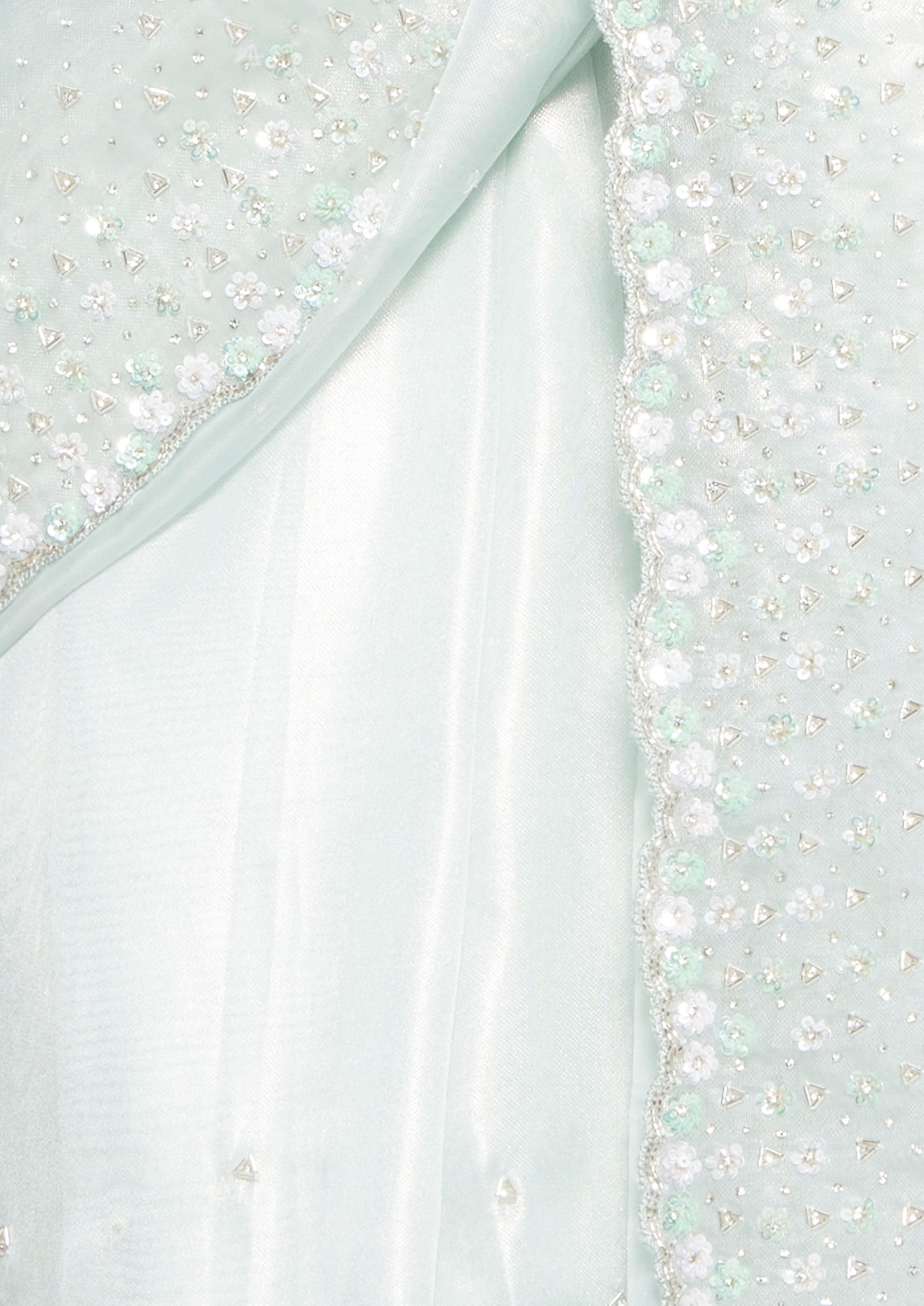Twamev Women Ethereal Light Blue Organza Saree