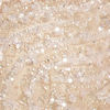 Cream Radiance Net Saree