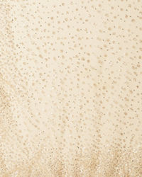 Twamev Women Cream Radiance Net Saree