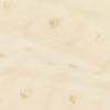 Elegant Cream Chanderi Safa