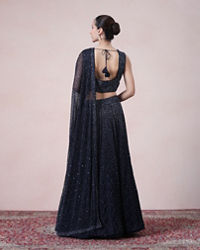 Twamev Women Enchanting Indigo Elegance Net Skirt Top Set