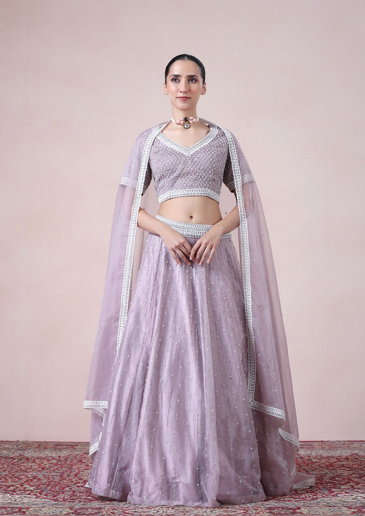 Twamev Women Glitz Light Purple Organza Skirt Top Set