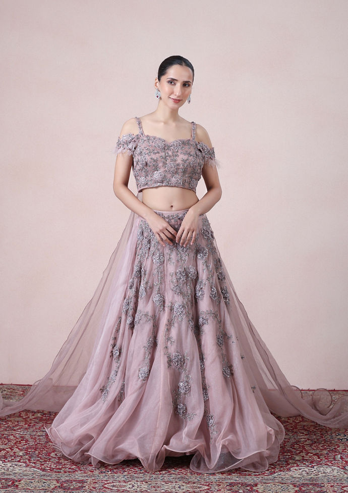 Twamev Women Princess like Radiance Pink Organza Skirt Top Set