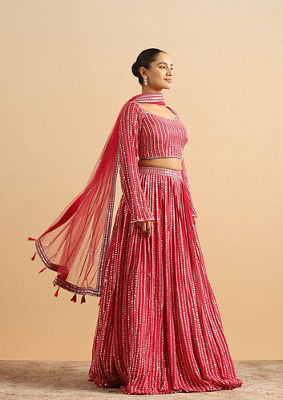 alt message - Twamev Women Royal Radiance Rani Pink Skirt Top image number 2