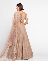 Twamev Women Purple Organza Zardosi Embroidered Lehenga