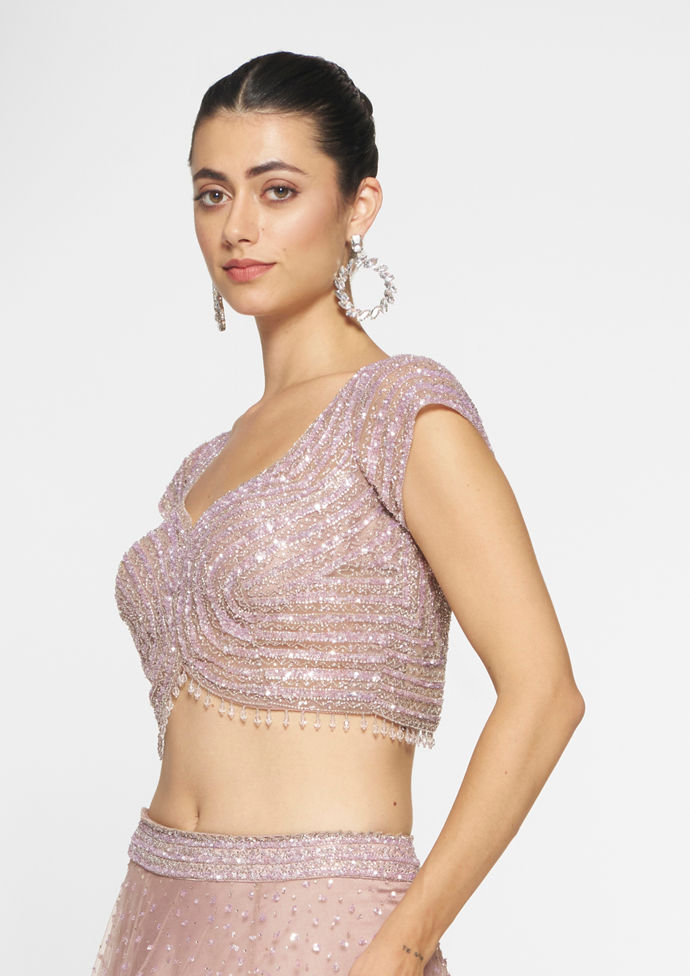 Twamev Women Royal Purple Net Skirt Top