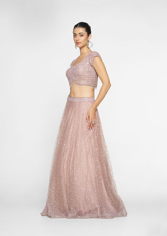 Twamev Women Royal Purple Net Skirt Top
