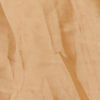 Golden Gleam Trio Set Skirt Top