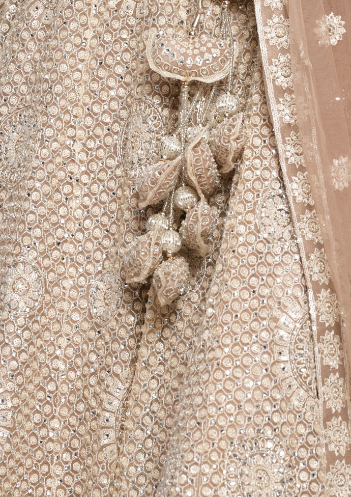 Twamev Women Beige Regalia Net Skirt Top Set