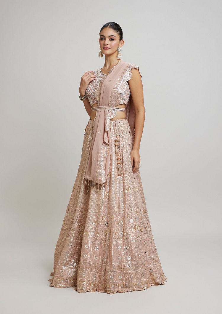 Twamev Women Blossom Pink Georgette Lehenga